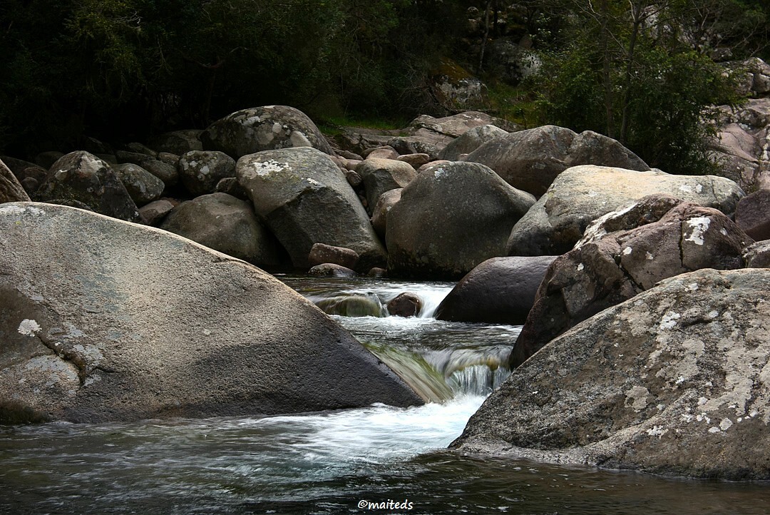 Torrent Figarela - Corse