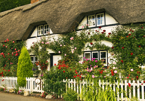 Cottages anglais