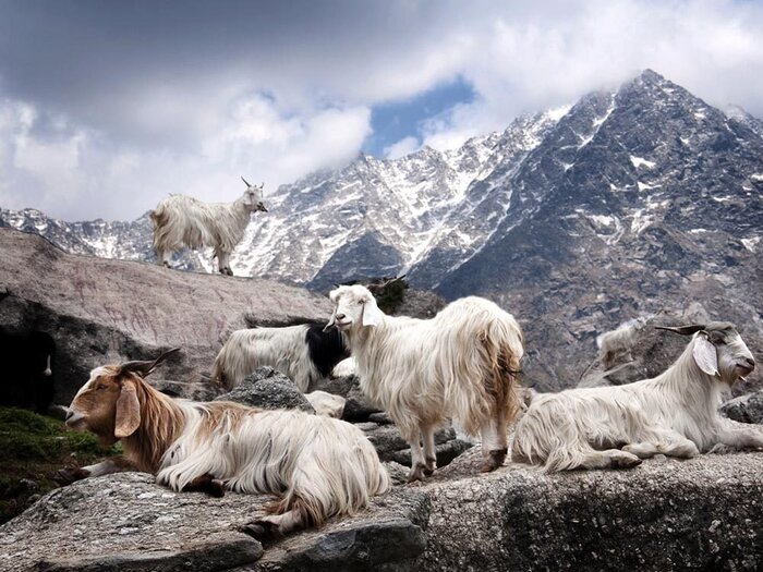 L'Himalaya oriantal, une destination incontournable,