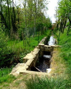 La preuve par les détours...Etang du Mouchet et alentours à Chavannes...Avril 2022...