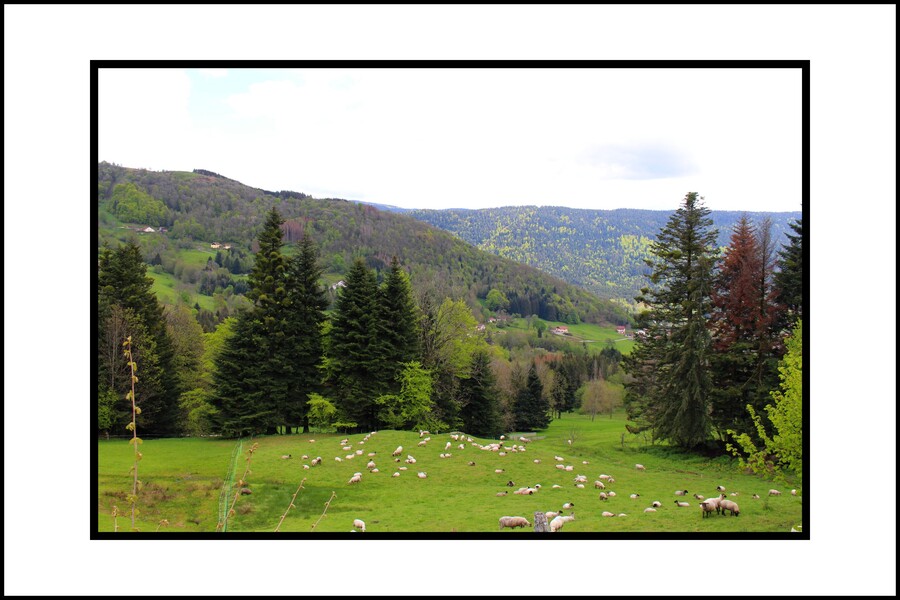Le Haut du Roc, Saulxures sur Moselotte - Vosges