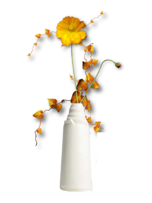 vase avec ou sans fleur