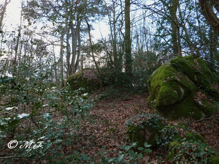 Chemin Côtier. 8