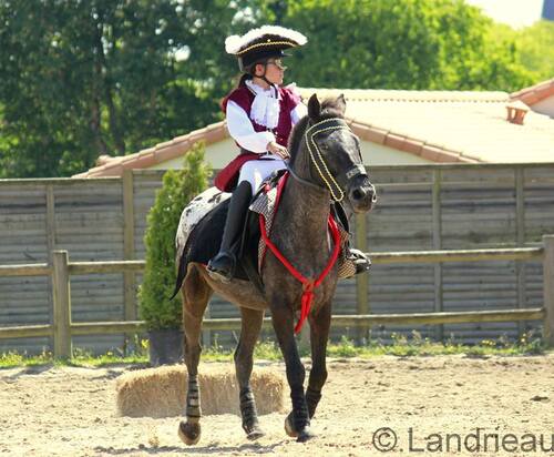 les demoiselles aux oiseaux - 25 ans du poney club yonnais