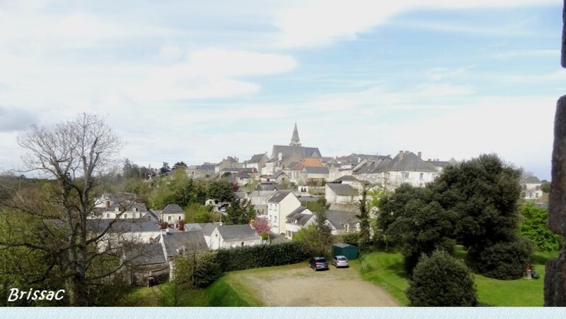 Château De Brissac (49)