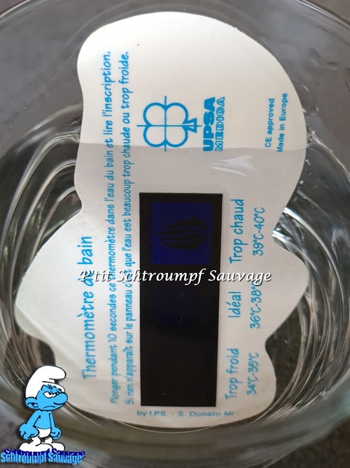 Thermomètre de bain Schtroumpf UPSA MEDICA 1997