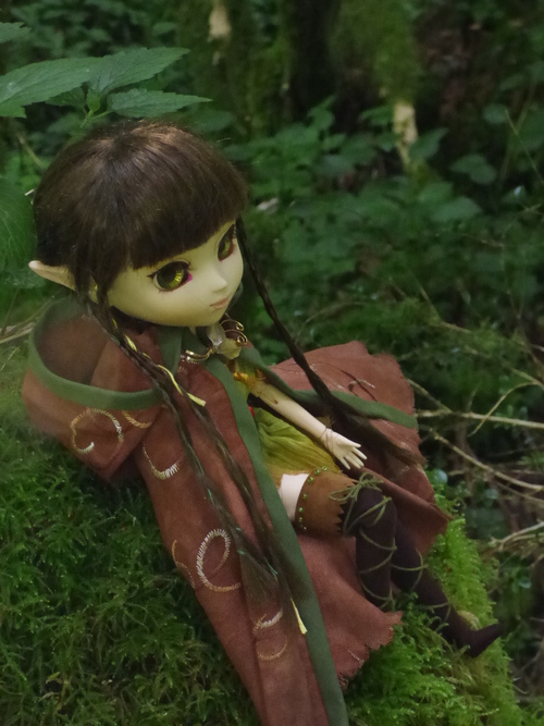 Eldana, elfe de la forêt