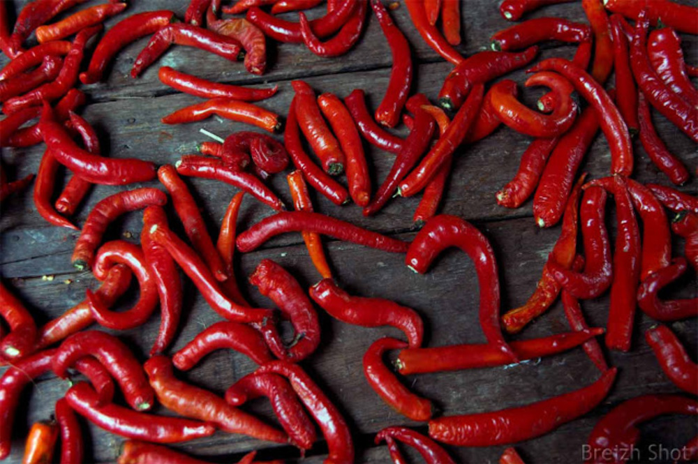 Pak Klong Talat :  piments