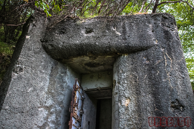 Le bunker dolichophobe