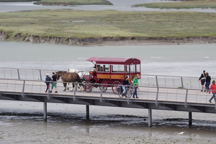 Normandie : Mont-Saint-Michel 1/