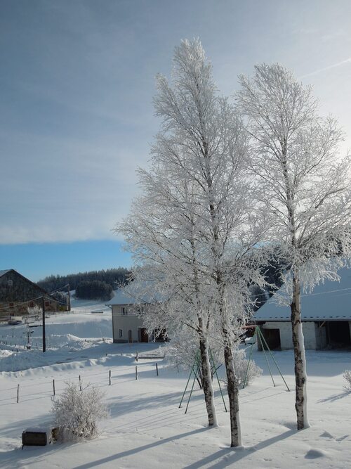 La neige et le froid se sont installés