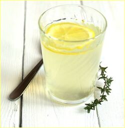 DETOX CITRON GINGEMBRE