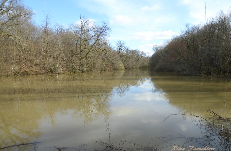 Un petit parcours vers Nieuil en Charente,