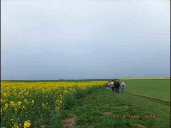 30-04-13-09-38---Rando---Essonne-2--Copier-.JPG