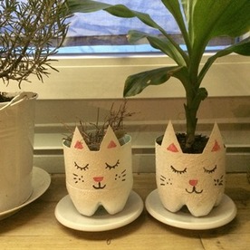 Petits pots "chats"