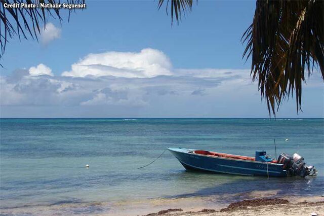 Blog de lisezmoi : Hello! Bienvenue sur mon blog!, L'archipel de Guadeloupe : l'ile Marie-Galante
