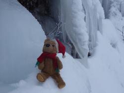 mascotte en montagne