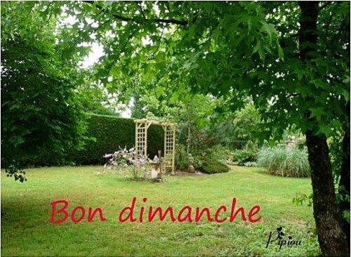 bon dimanche