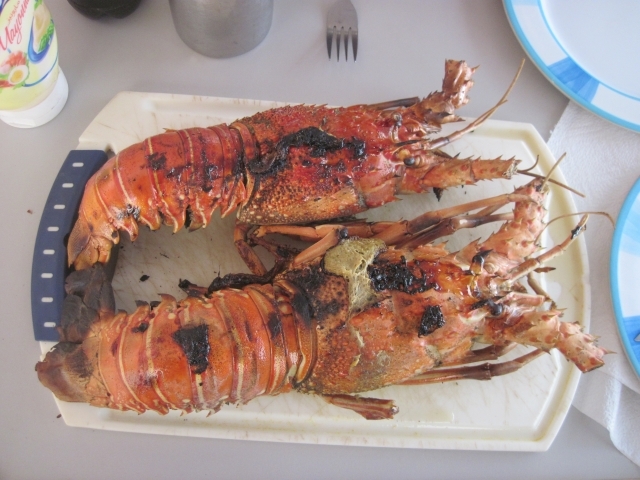 392 Nouakchott Langoustes dans le camion
