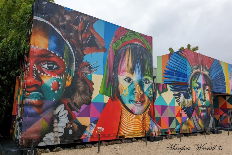 Floride : Miami Wynwood Walls and art gallery 2/3