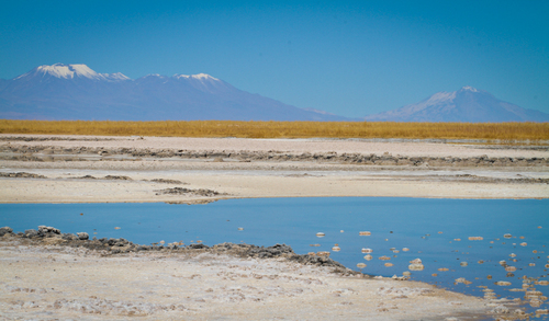 San Pedro de Atacama: Laguna Cejar, un monde à part