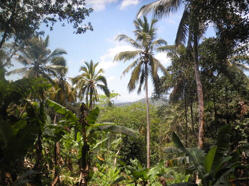 Mayotte