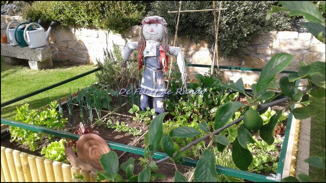 Bienvenue dans mon jardin (2)
