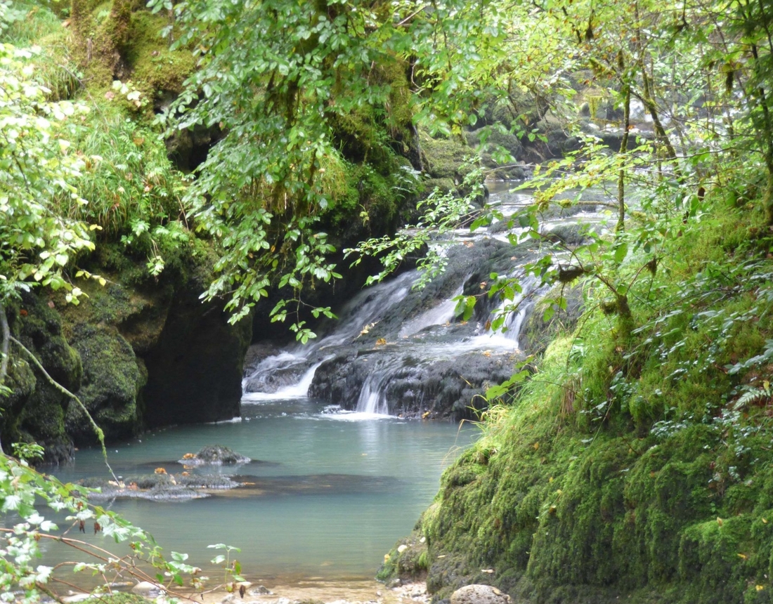 LE  PÈLERINAGE  DE  BERTILLE 