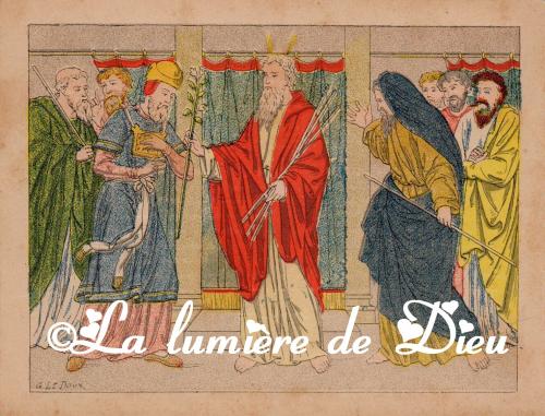 Saint Aaron. Ancien Testament : Prophète, frère de Moïse (-1471 av JC.)