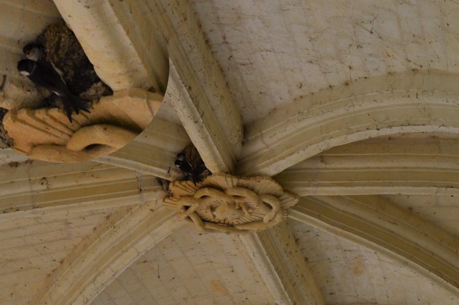 Abbaye de Fontevraud (2). Le cloître
