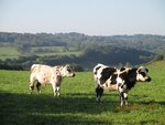 La randonnée du 27 septembre à Clécy