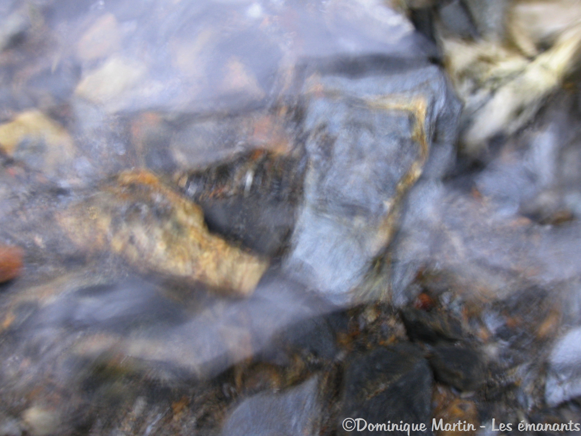 rencontre avec les êtres de la nature givaudan