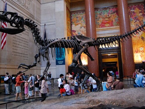 NEW YORK 2016- Jour 5- Museum of Natural History