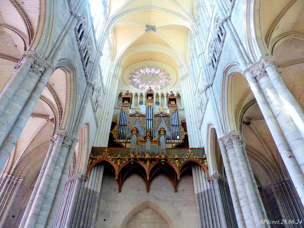 Restauration du Grand Orgue de la Dame d'Amiens