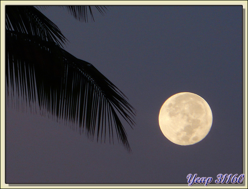 Pleine lune sur le lagon - Tiki Village - Moorea - Polynésie française