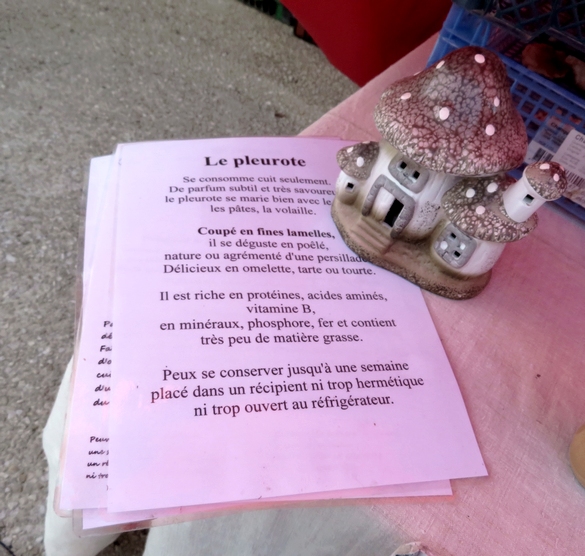 La 24 ème Foire aux Graines organisée par A.R.C.E. a eu lieu le dimanche 19 mai à Recey-sur-Ource