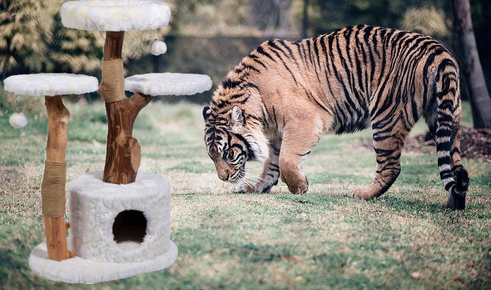 Katze Kratzbaum XXL