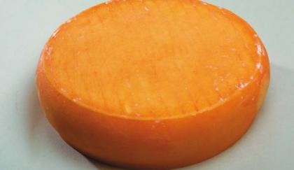 FROMAGES DE NOS REGIONS DU NORD