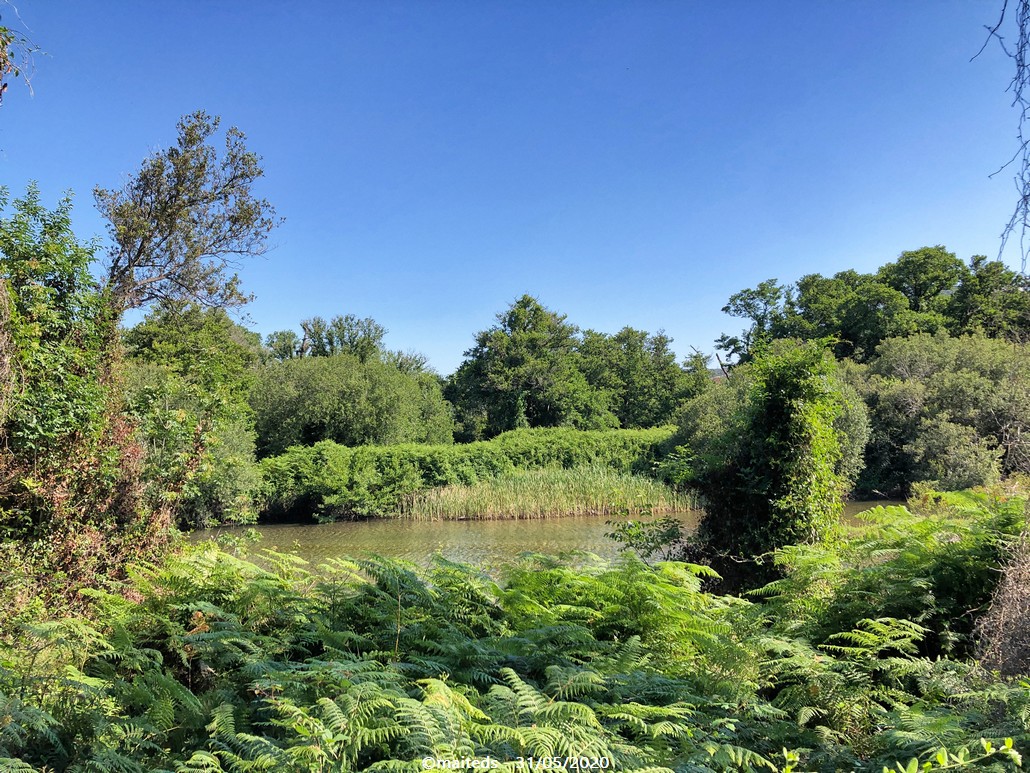 Petite balade au bord de l'eau à Galéria (2B)