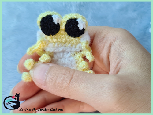 [ Accessoire ] Applique Couicky ( Grenouille au crochet )