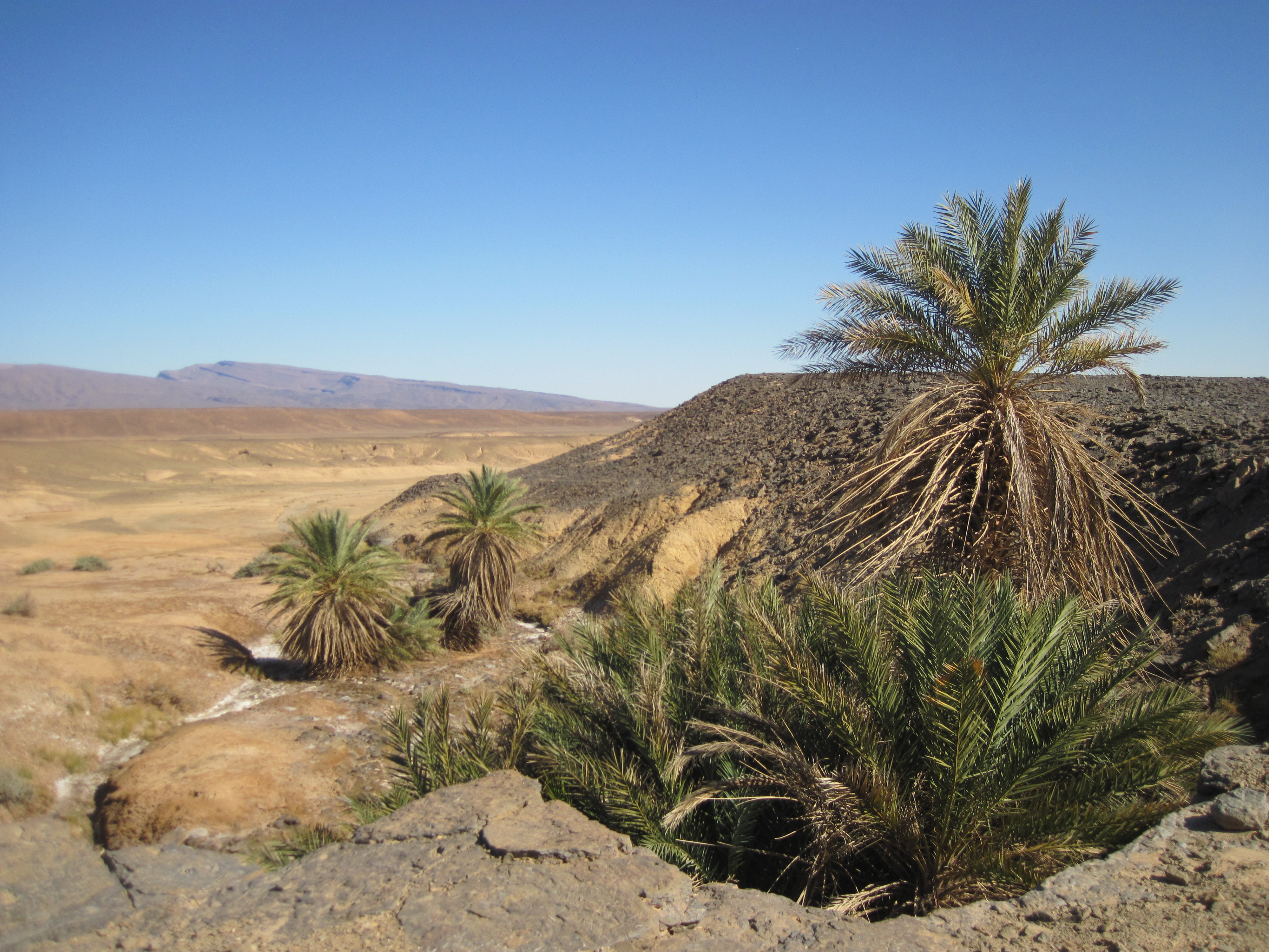 Maroc  Piste Mahmid Foum Zguid