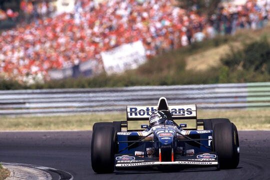 Damon Hill F1 (1995)