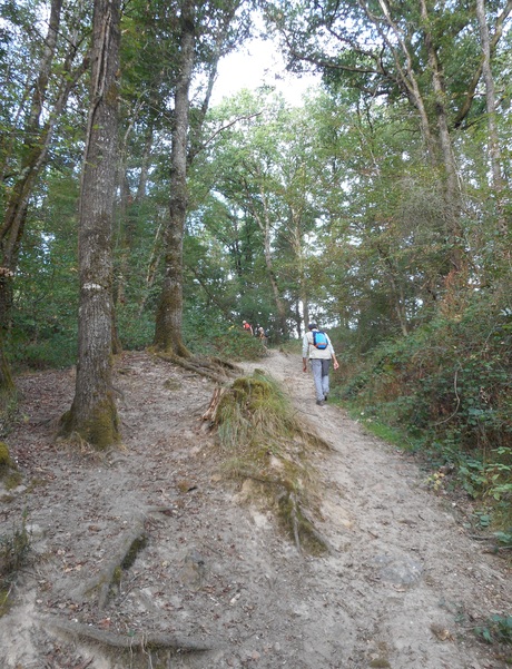 randonnée des globules à Prissac 