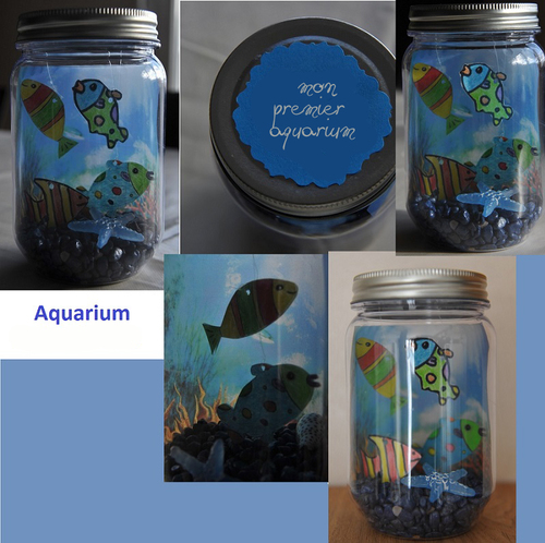 Mon premier aquarium