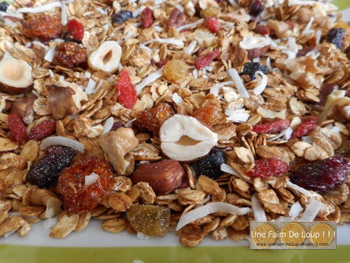 Granola à l'avoine, aux noisettes et aux graines – Brin de Sens