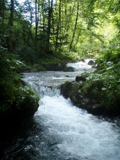 L'ARLY ET SES CELEBRES GORGES