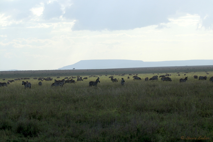 Parc national du Sérengeti