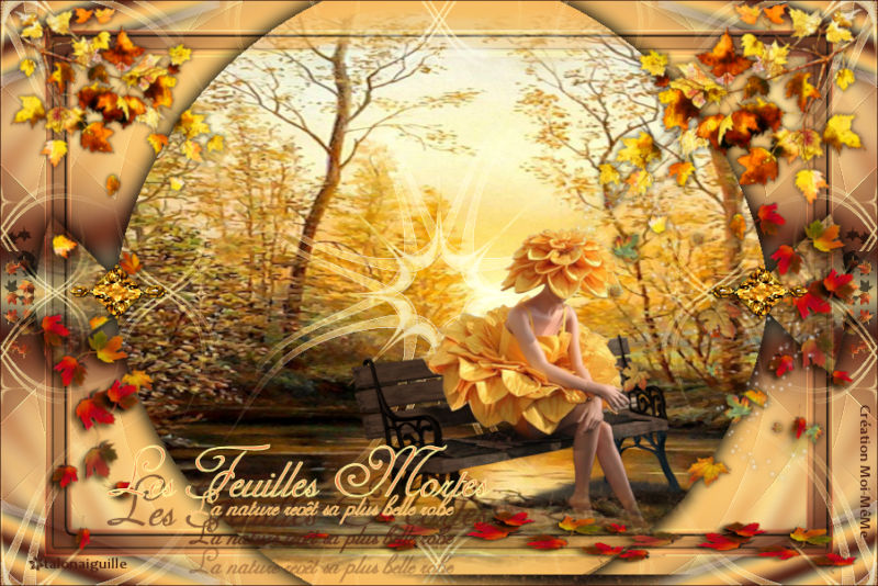 *** Les feuilles mortes***