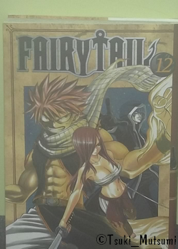 Fairy Tail - tome 12