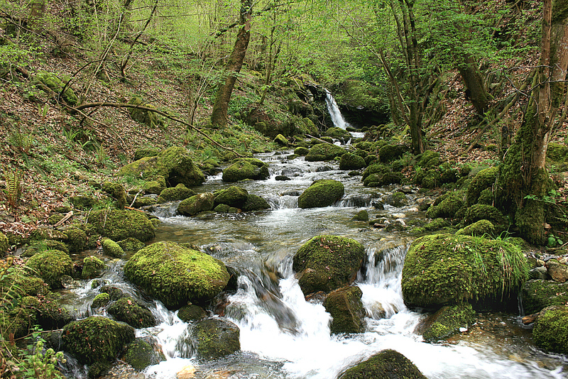 Ruisseau Rossignol et sa cascade - Hameau de Job - Milhas - 31